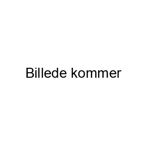 Korrigering af betaling (aftalt Maria)