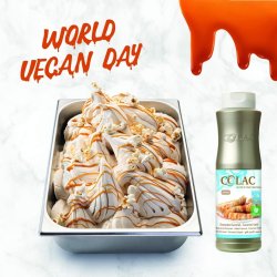 Topping saltet karamel vegan 1 kg