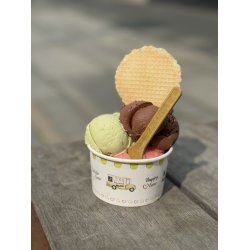 Icecream spoon 9,5 cm  - GUL Periamyl500 stk