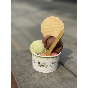 Icecream spoon 9,5 cm  - GUL Periamyl500 stk