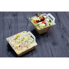 Vision + Carre 116/116//4mm - 200 stk