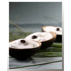 Skaffevare - Kokos is i kokosskal, 12x85 gr.